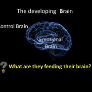 Parenting 1: The developing (tween-teen) brain